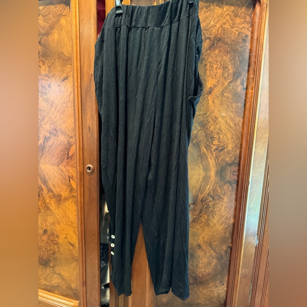Pants Zim and Zoe 3x nwt